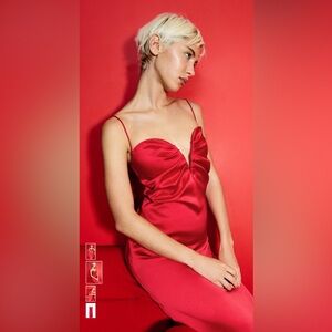 Zara Satin Sweetheart Midi dress - Small - New+Tags